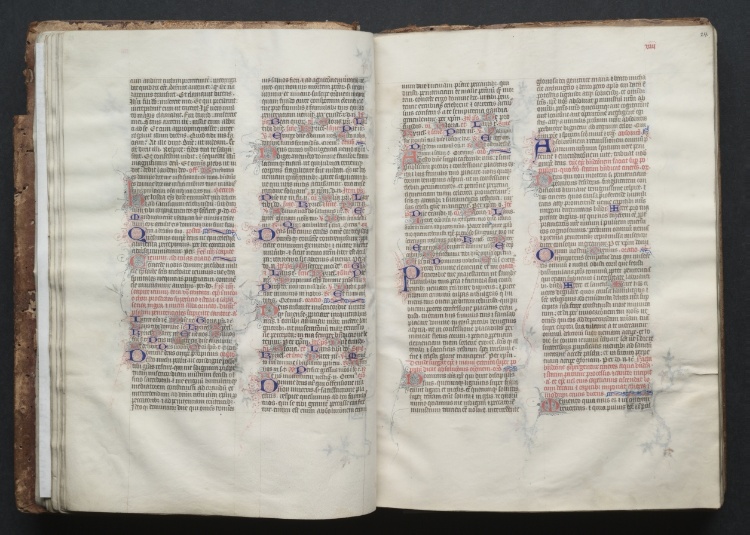 The Gotha Missal:  Fol. 24r, Text