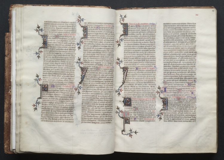 The Gotha Missal:  Fol. 22v, Text