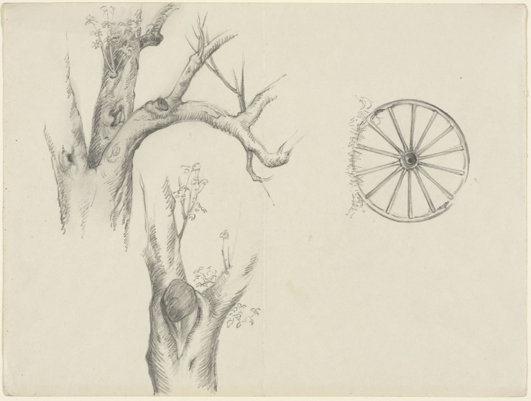 Tree Trunks and Carriage Wheel