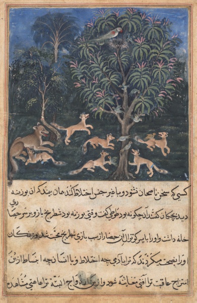 The parrot mother cautions her young on the danger of playing with foxes, from a Tuti-nama (Tales of a Parrot): Fifth Night