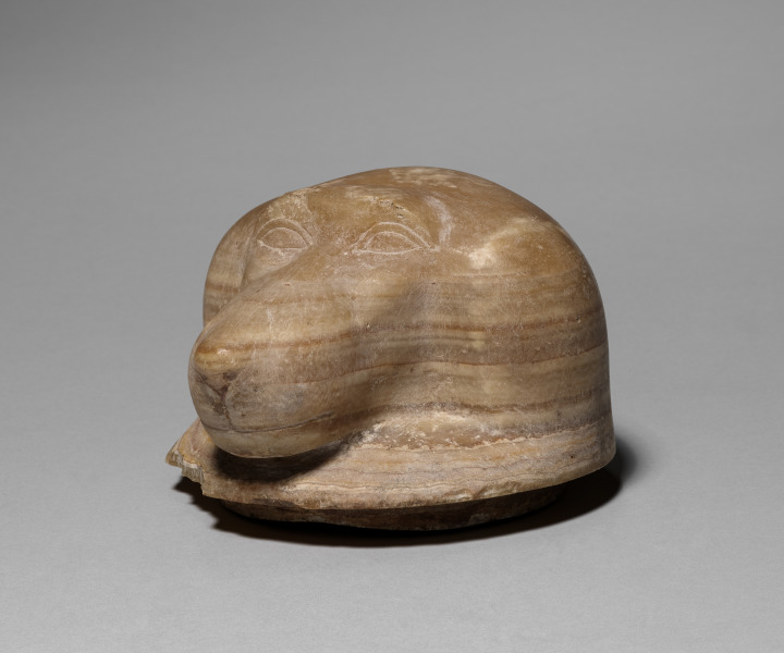 Canopic Jar with Baboon's Head (lid)