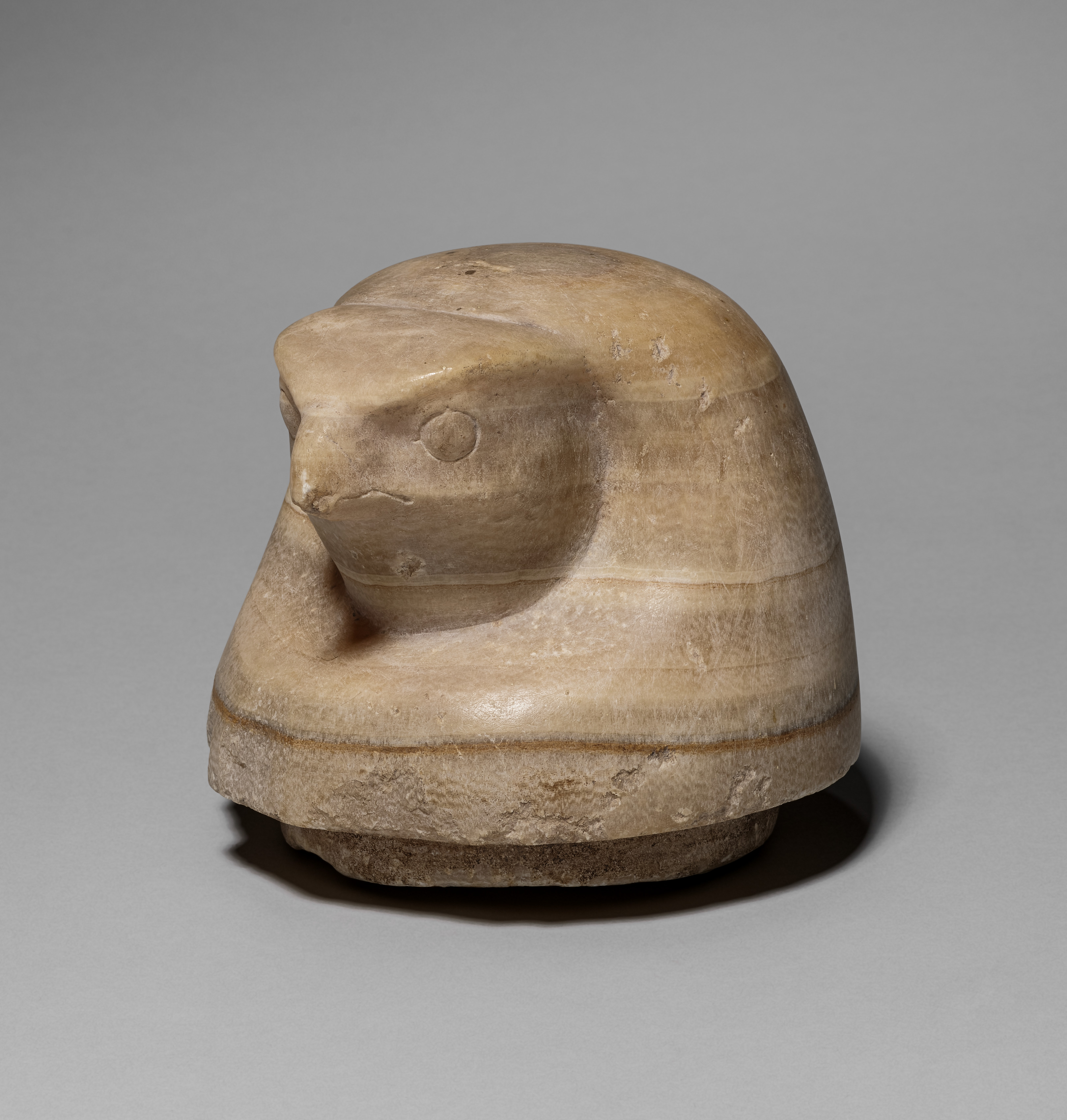 Canopic Jar with Falcon's Head (lid)