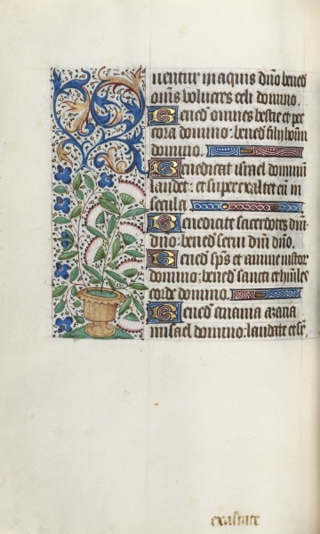 Book of Hours (Use of Rouen): fol. 43v