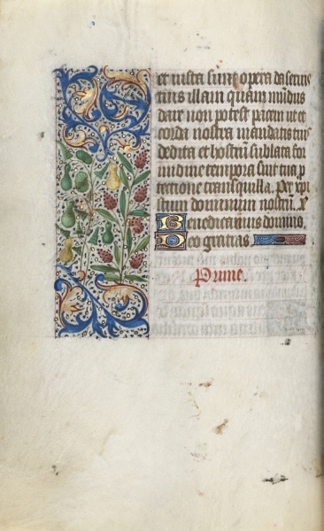 Book of Hours (Use of Rouen): fol. 55v