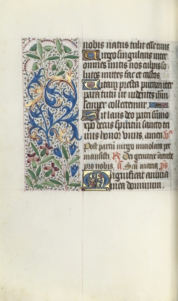 Book of Hours (Use of Rouen): fol. 73v
