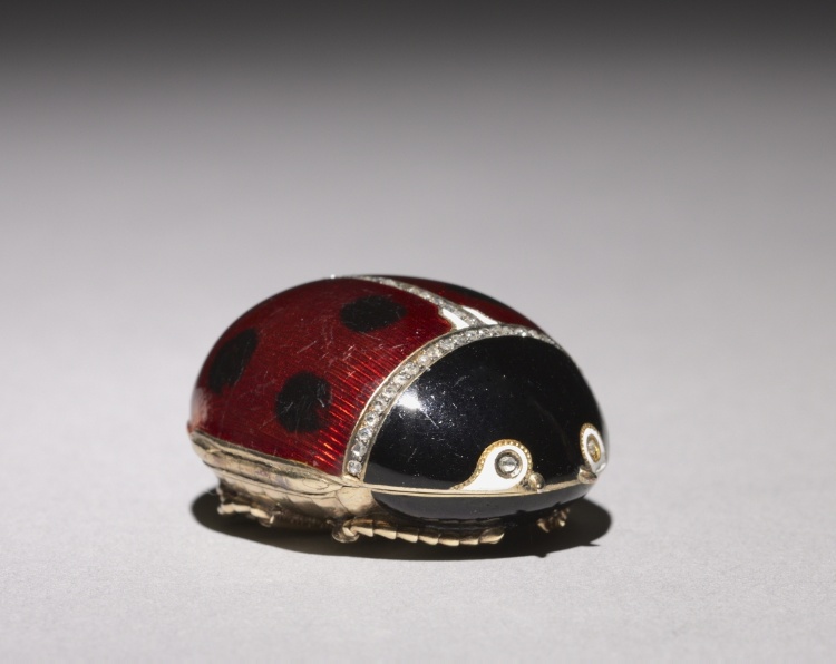 Ladybird Beetle Pillbox