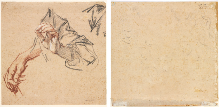 Study of Hands (recto); Sketch of a Hand (verso)