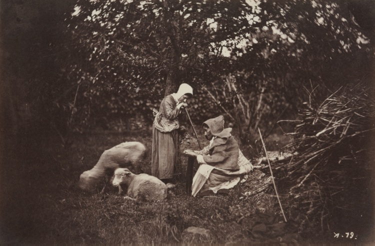 Two Shepherdesses Resting with Two Sheep