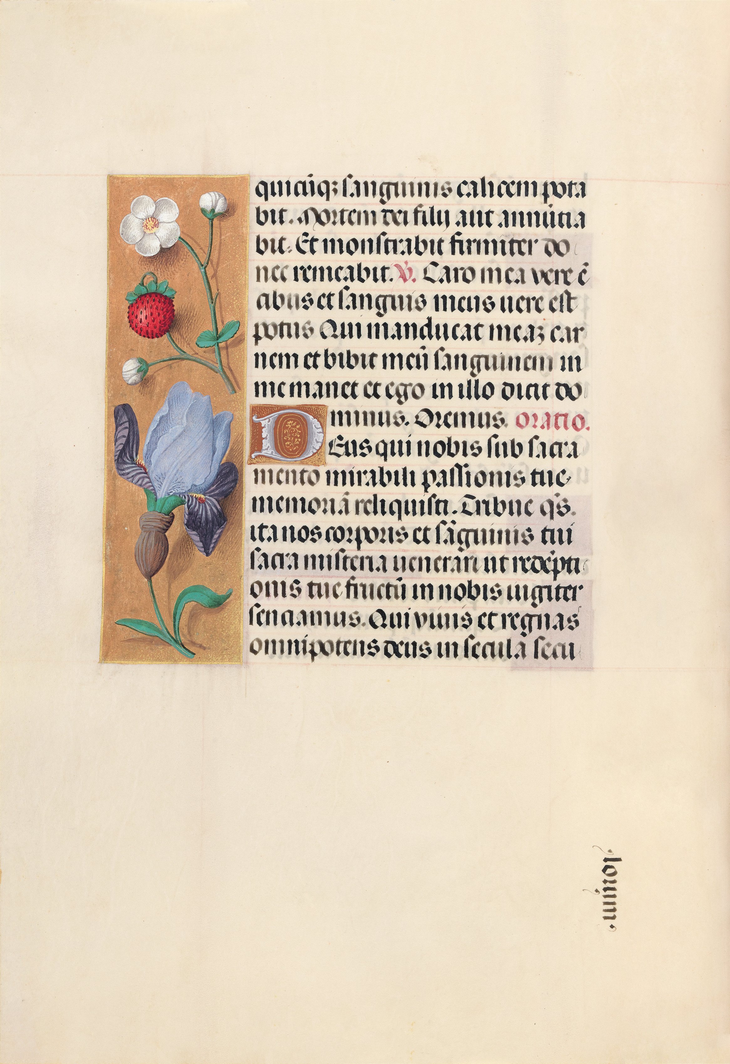 Hours of Queen Isabella the Catholic, Queen of Spain:  Fol. 46v