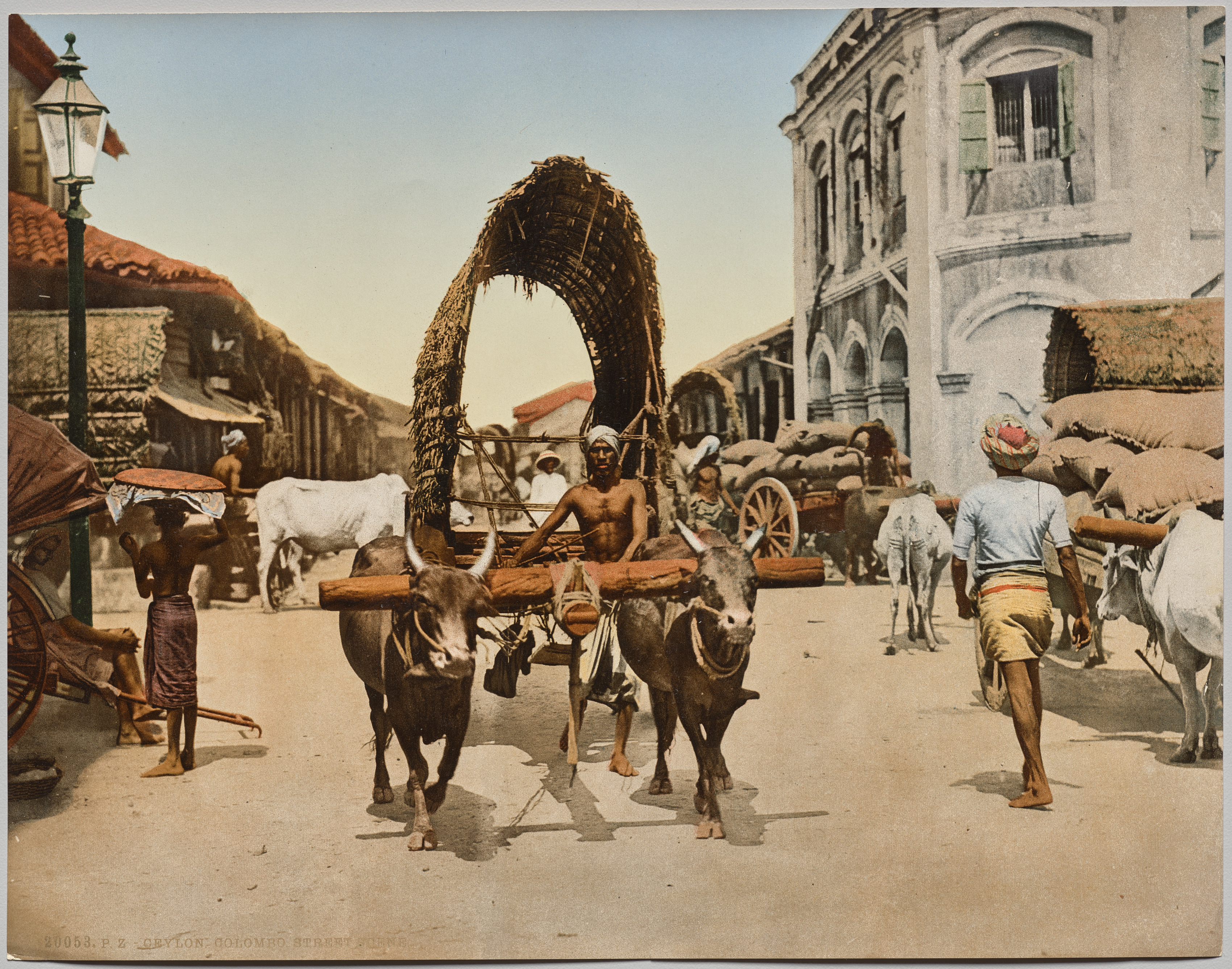 India. Ceylon. Colombo. Street Scene, after photo by Dr. Kurt Boeck