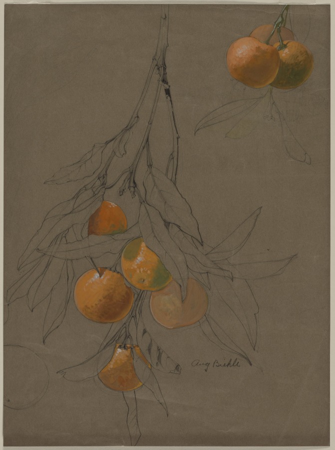 Study of Oranges, August Biehle, Jr., 1903–1906