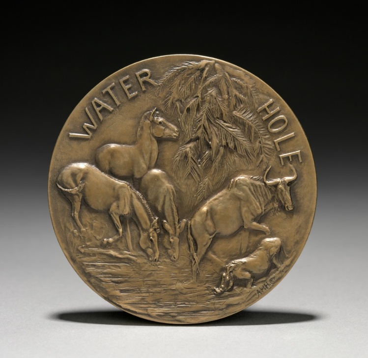 Medal: Africa (reverse)