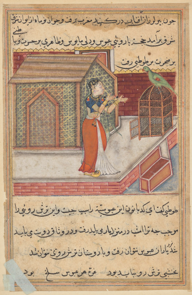 The parrot addresses Khujasta at the beginning of the forty-ninth night, from a Tuti-nama (Tales of a Parrot): Forty-Ninth Night