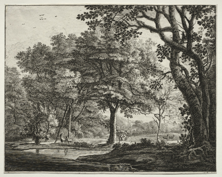 Six views in the Wood of the Hague: Plate 6, Two Deer