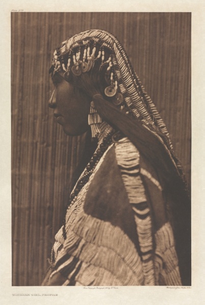 Portfolio VIII, Plate 279: Wishham Girl, Profile