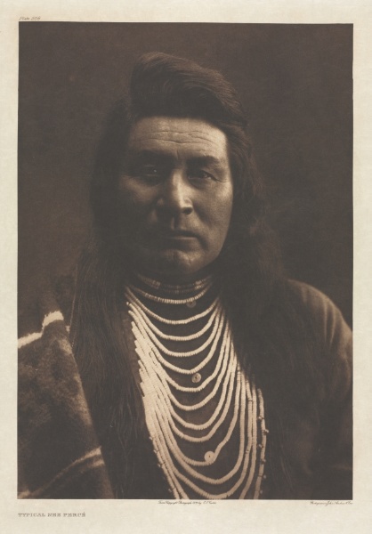 Portfolio VIII, Plate 258: Typical Nez Percé