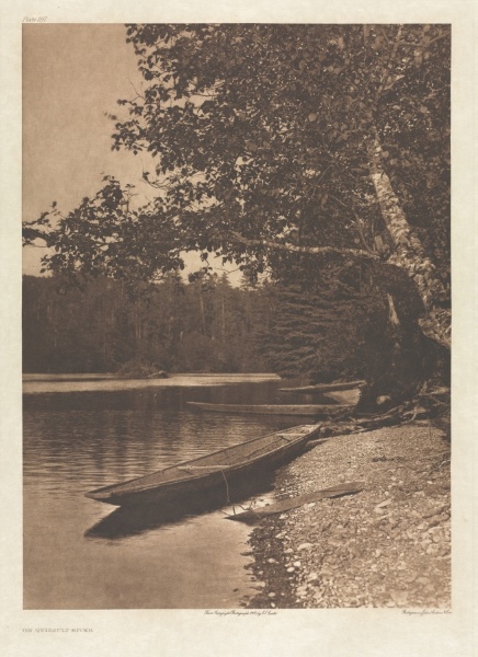 Portfolio IX, Plate 297: On Quinault River