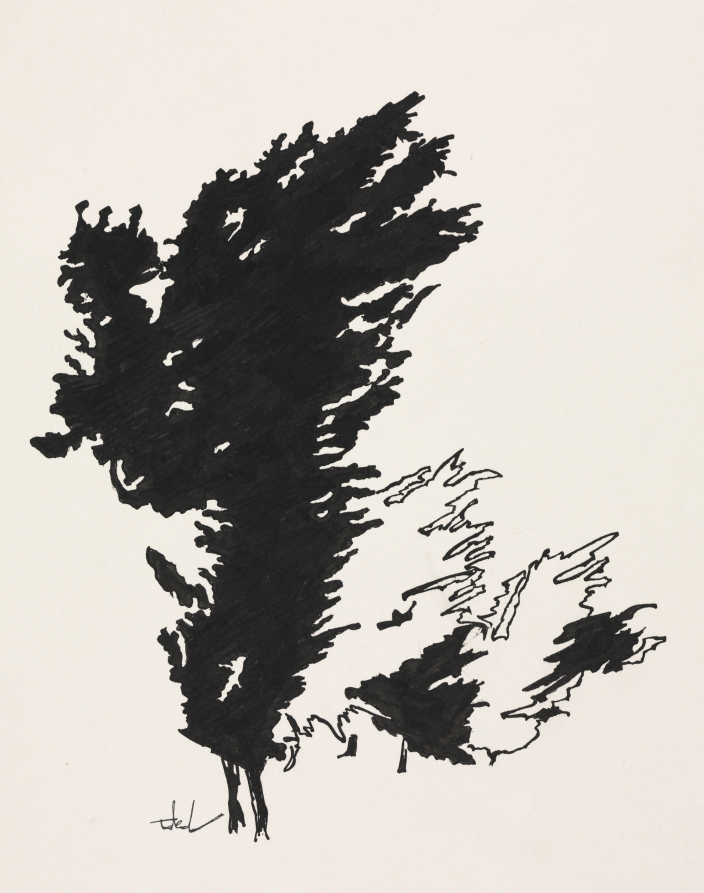 Drawing for label for "Trees and Fields", Peter Takal, 1957