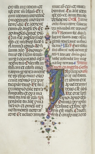 Missale: Fol. 22v: Foliage with Fish