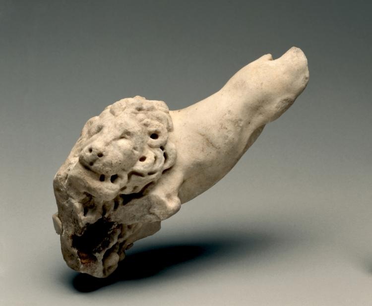 Fragment of a Lion