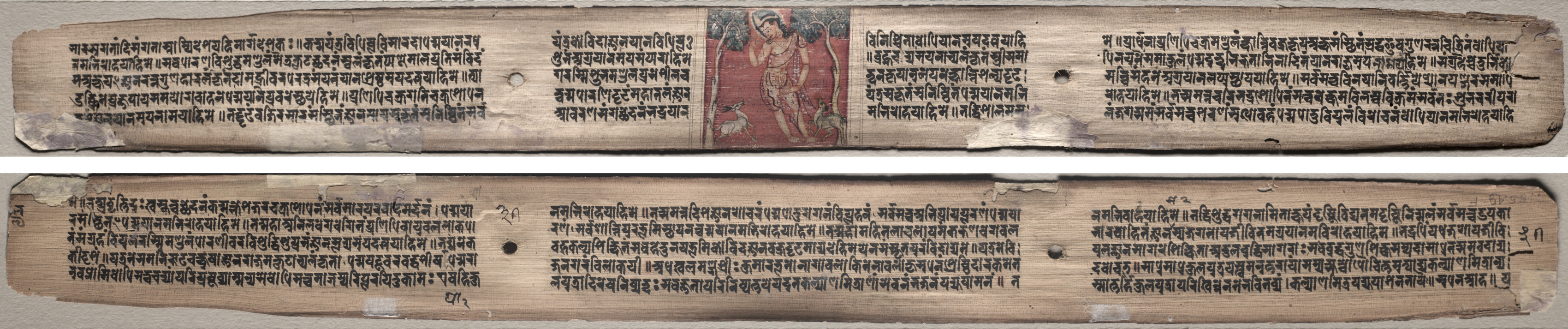 Folio 37 from a Gandavyuha-sutra (Scripture of the Supreme Array): Sudhana and a pair of antelopes (recto); text (verso)