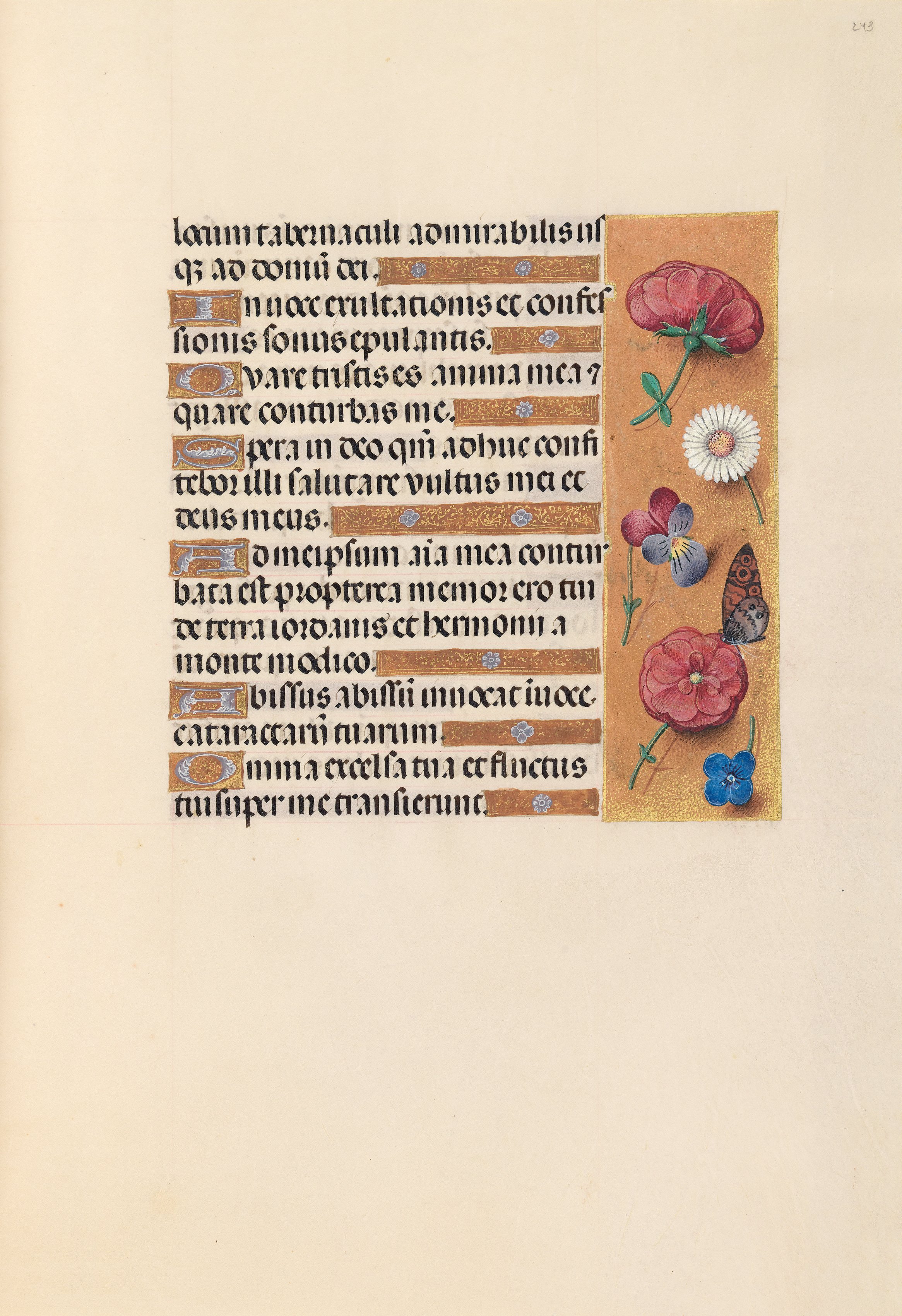 Hours of Queen Isabella the Catholic, Queen of Spain:  Fol. 243r