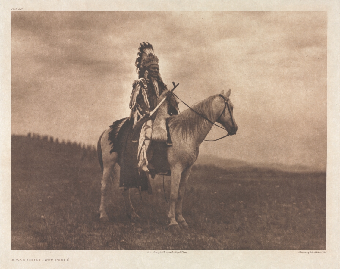 Portfolio VIII, Plate 271: A War Chief - Nez Percé