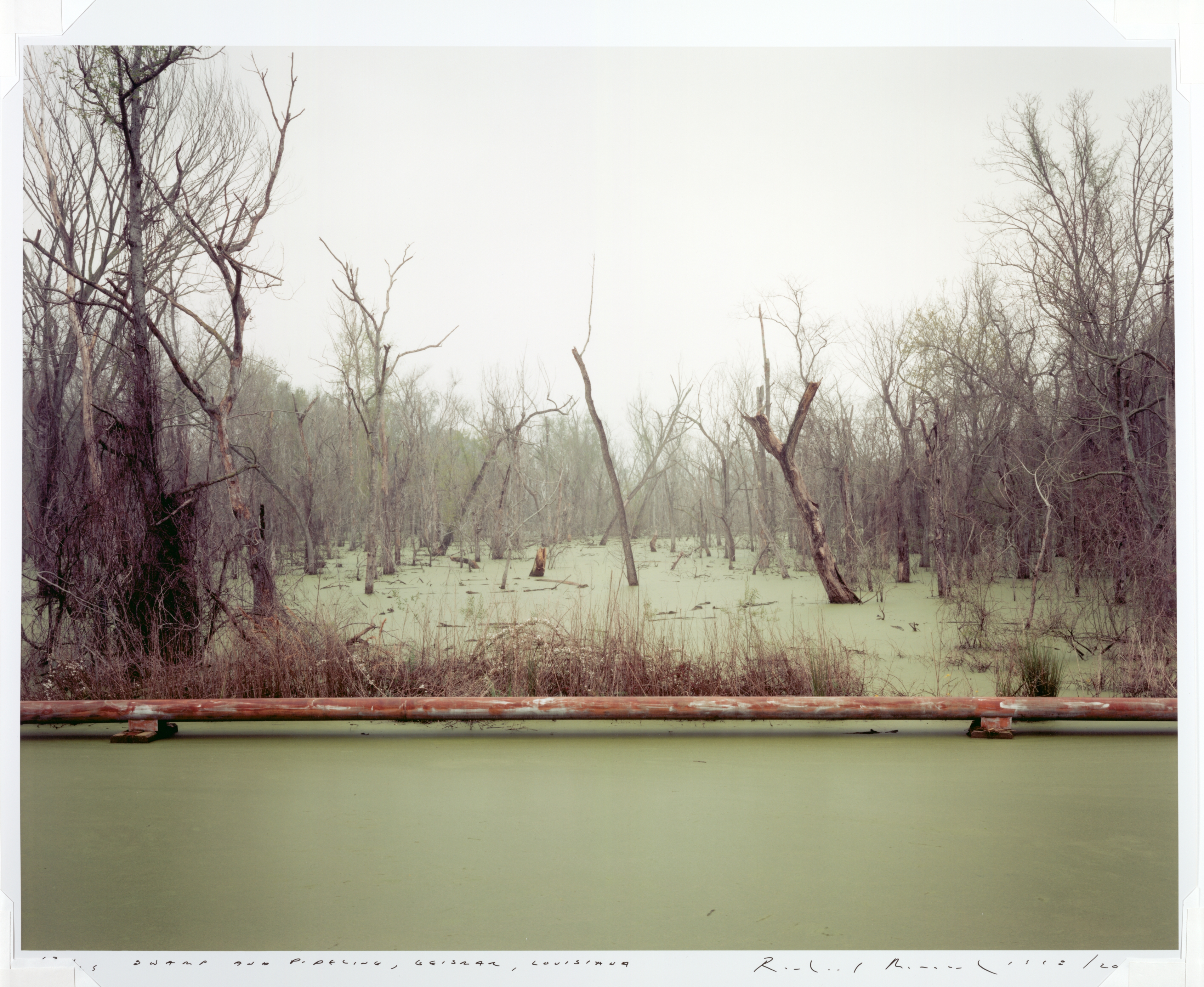 Swamp and Pipeline, Geismar, Louisiana