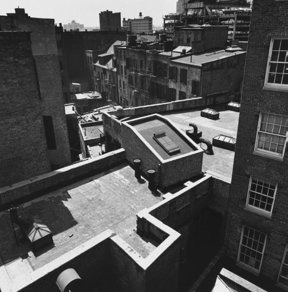 View from a Gold Street Rooftop Looking East toward the Rear of Fulton Street