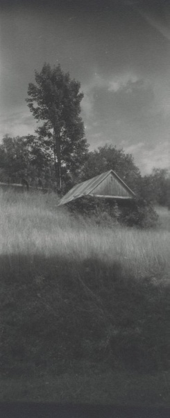 Tin-Roofed Cabin on Grassy Hill, Trees Behind 