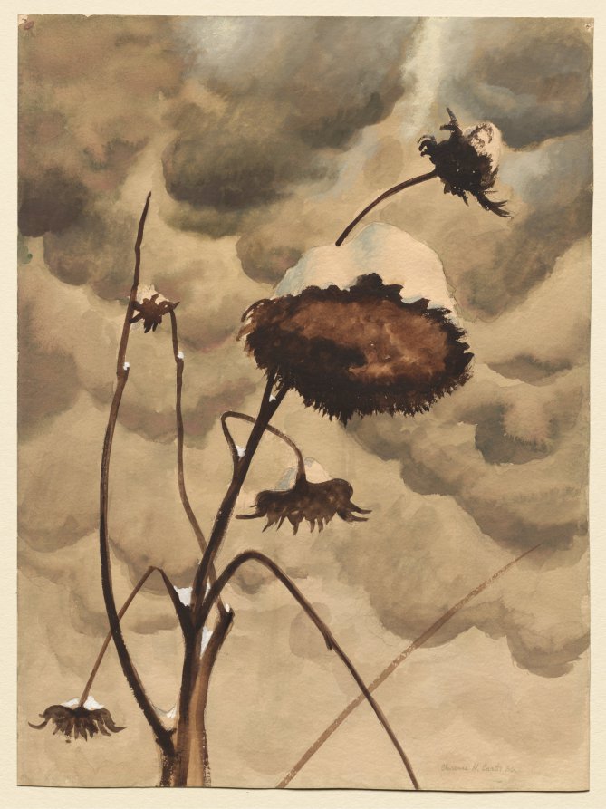 Winter Sunflower, Кларенс Картер, 1936