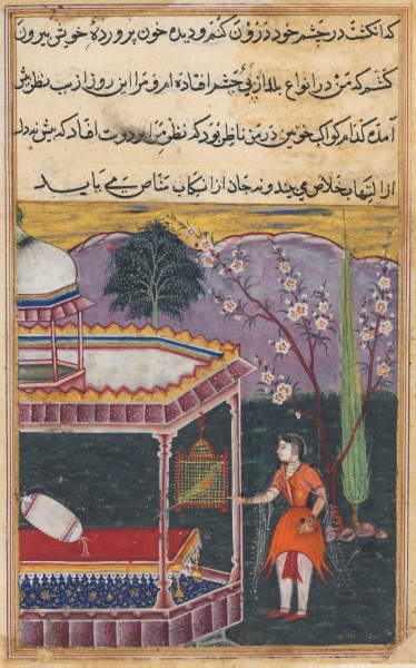 The Parrot Addresses Khujasta at the Beginning of the Eighth Night, from a Tuti-nama (Tales of a Parrot)