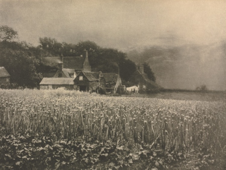 Camera Work: The Onion Field - 1890