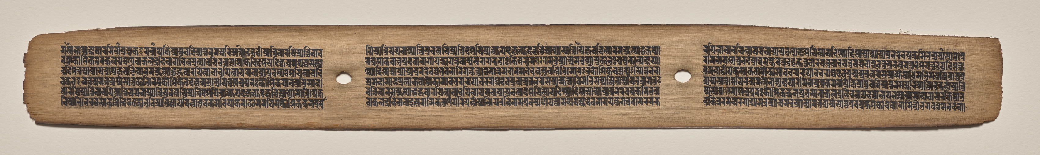 Text, Folio 31 (recto), from a Manuscript of the Perfection of Wisdom in Eight Thousand Lines (Ashtasahasrika Prajnaparamita-sutra)