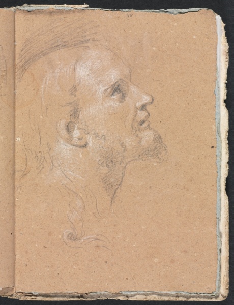 Verona Sketchbook: Male head in profile (page 91) 