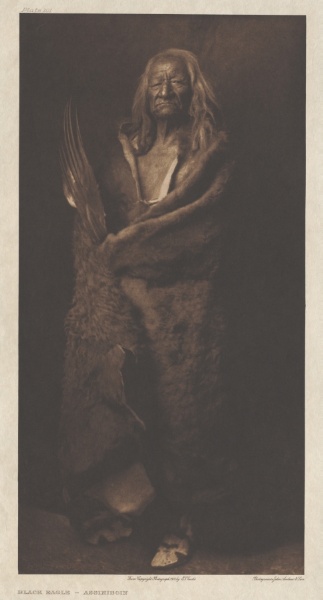 Portfolio III, Plate 101: Black Eagle-Assiniboin