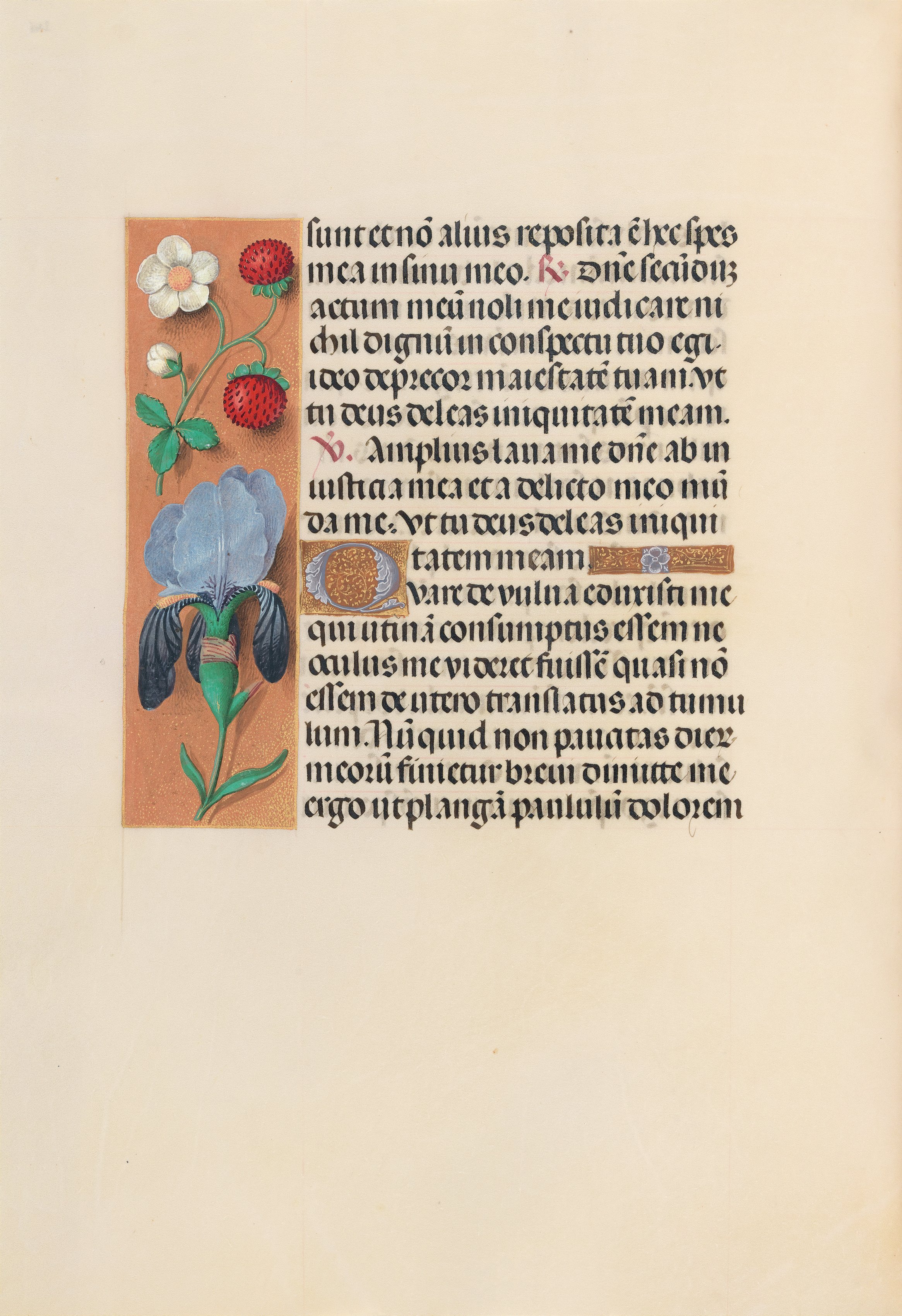 Hours of Queen Isabella the Catholic, Queen of Spain:  Fol. 245v