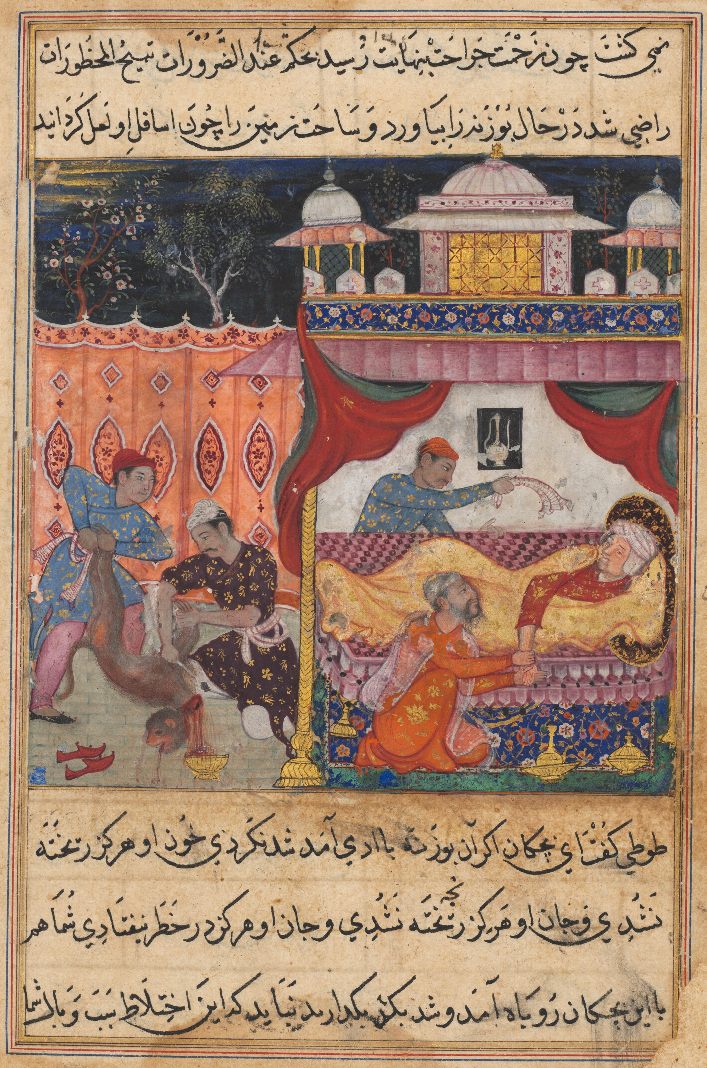 The monkey slain, his blood to be used as medicine for the ailing prince he has bitten, from a Tuti-nama (Tales of a Parrot): Fifth Night