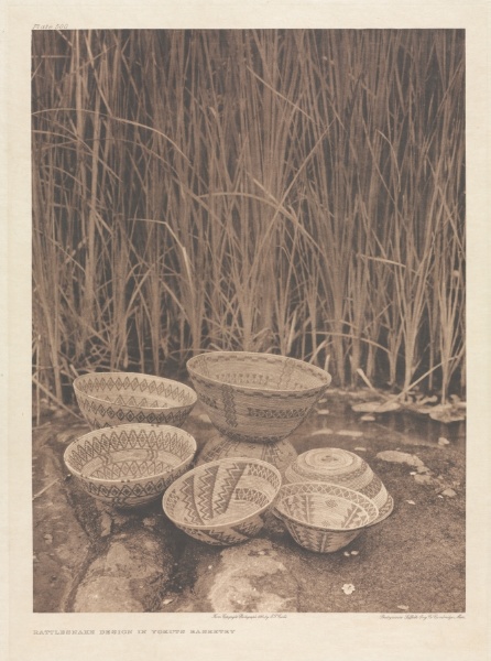 Portfolio XIV, Plate 500: Rattlesnake Design in Yokuts Basketry