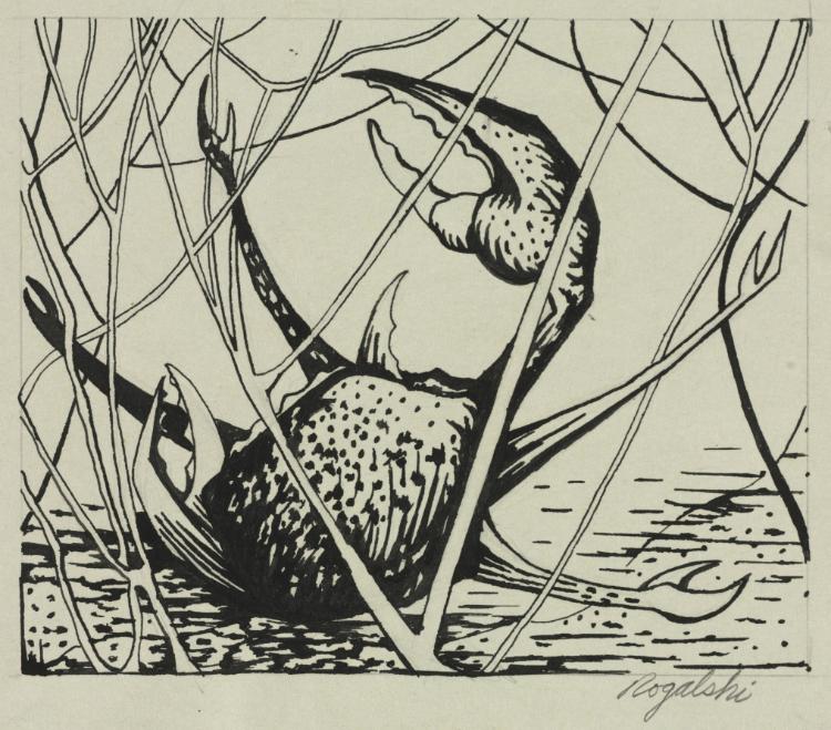 Crab, Walter R. Rogalski, 1953