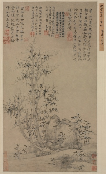Bamboo, Rock, and Tall Tree