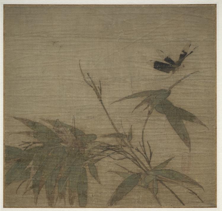 Insects and Bamboo