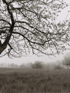 Violet Romer as Psyche, III | Cleveland Museum of Art