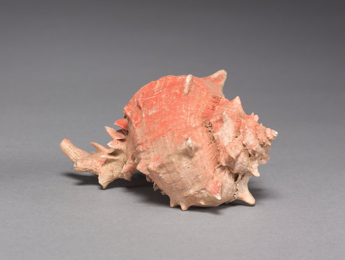 Offering Group: Large Shell | Cleveland Museum of Art