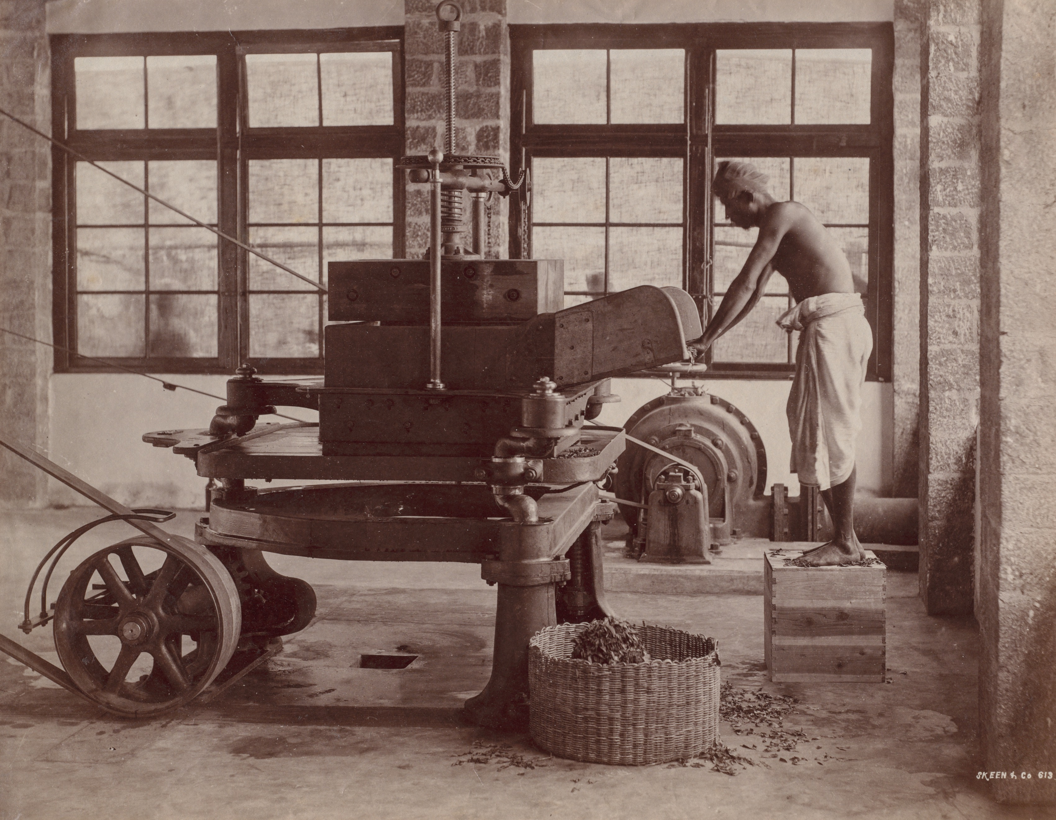 Man Placing Tea Leaves into Machine, Ceylon