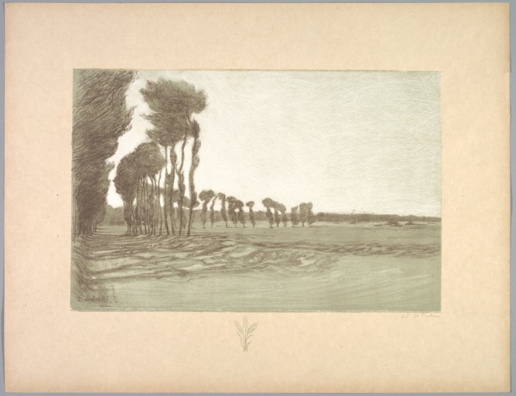 Suite de Paysages: Landscape,  Plate 5, Remarque, Three Stalks of Wheat