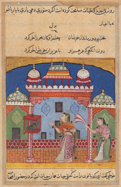 The Parrot Addresses Khujasta at the Beginning of the Twenty-second Night, from a Tuti-nama (Tales of a Parrot)