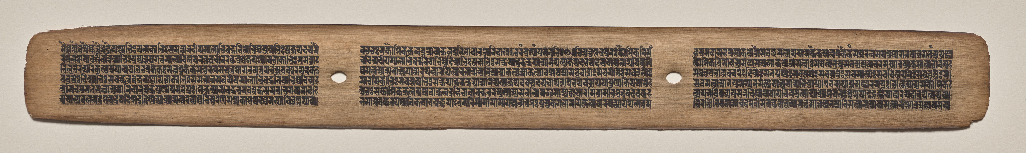 Text, Folio 24 (recto), from a Manuscript of the Perfection of Wisdom in Eight Thousand Lines (Ashtasahasrika Prajnaparamita-sutra)