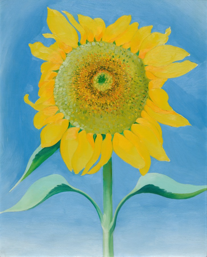 Sunflower, New Mexico, I, Georgia O'Keeffe, 1935