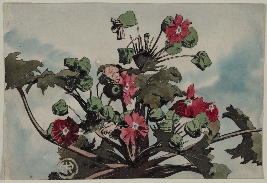 Plant, Henry Keller, c. 1891–1949
